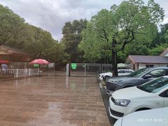 -共青国家森林公园-停车场