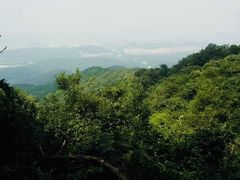 -紫金山天文台