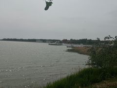 -包头南海湿地景区