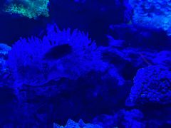 -上和臻品中国菜(花园街店)