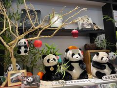 -轩客会(熊猫书店)