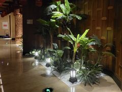 -紫莲花足道(柯桥古镇店)