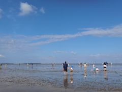 -南汇嘴观海公园