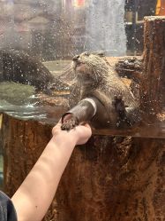 -Zoolung Zoolung动物主题公园(海信广场店)