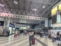 -米兰马尔彭萨国际机场