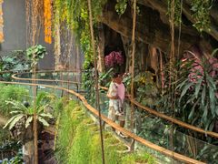 -正佳雨林生态植物园