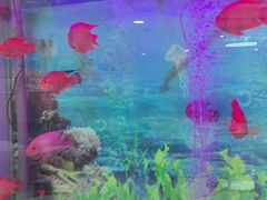 -雅悦齿科(顾村公园店)