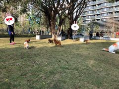 -景田北六街公园宠物主题园