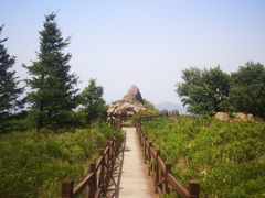 -阳台山自然风景区