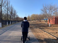 -永定河休闲森林公园