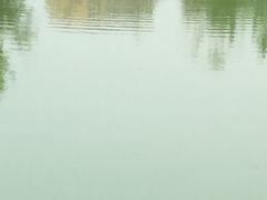 -前关湿地公园