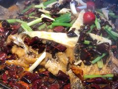 -老板恋上鱼(恒隆广场店)