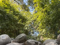 -三江森林温泉度假区