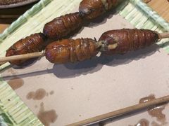 -鸽子窝(宋庄店)