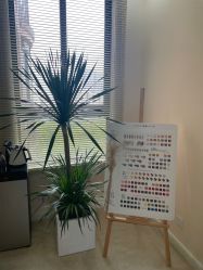 -甜谧美甲美睫·韩式皮肤管理