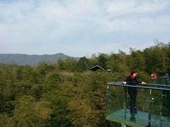 -陶祖圣境风景区