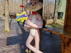 -黄海国家森林公园