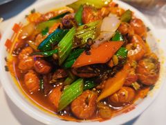 -堕落小龙虾(兰州旗舰店)