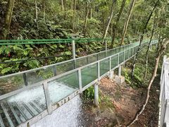 -龙湾潭国家森林公园