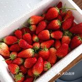 瞎吃瞎涮🦐
