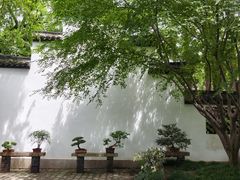 -上海醉白池公园