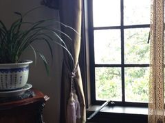 iphone_upload_pic-大可堂普洱茶馆(襄阳南路馆)