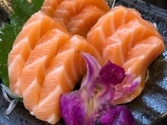 -春草居酒屋·晴子の店