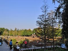 -五缘湾湿地公园