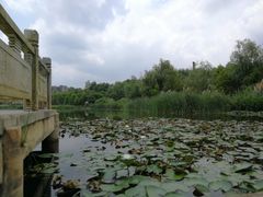 -贵阳市花溪国家城市湿地公园