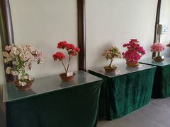 -上海醉白池公园