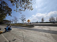 -金砂公园