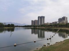 -飞来湖湿地公园