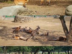 -西安秦岭野生动物园