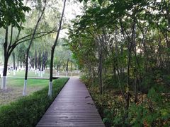 -长春世界雕塑园冰雪艺术天地