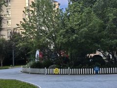 -黄村公园
