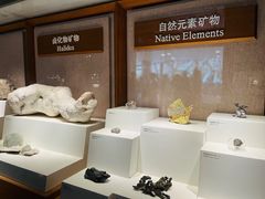 -上海自然博物馆