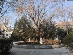 -济南国际园博园