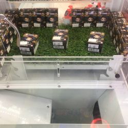 -莫莉幻想儿童乐园(武汉金银潭永旺店)