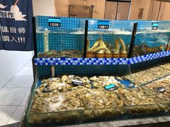 -天天鱼港·海鲜·鲅鱼水饺·招牌烤鸭(黄骅店)