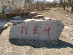 -大港湿地公园