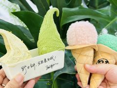 -野人先生Gelato(上海长宁龙之梦店)