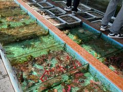 -景好海鲜餐厅(大鹏必选旅游店)