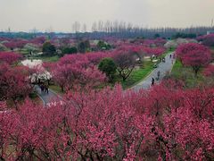 -花开海上生态园