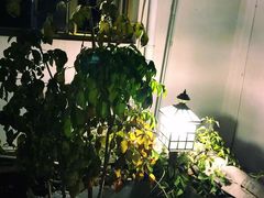 -随善园餐厅(大理店)
