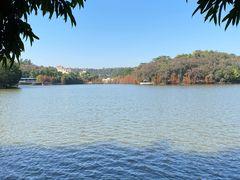 -三水森林公园