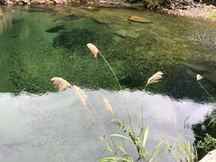 -白云源风景区