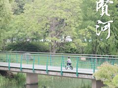 -尚贤河湿地