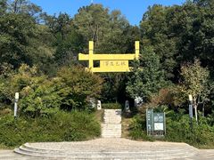-南京老山国家森林公园