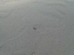 -北海市海滨公园