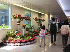 -胡志明新山一国际机场